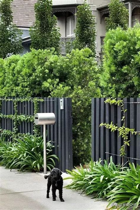 種辣椒風水 庭院圍牆設計